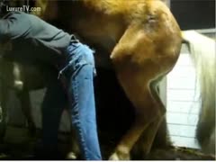 Horny fellow rod blocks a horse